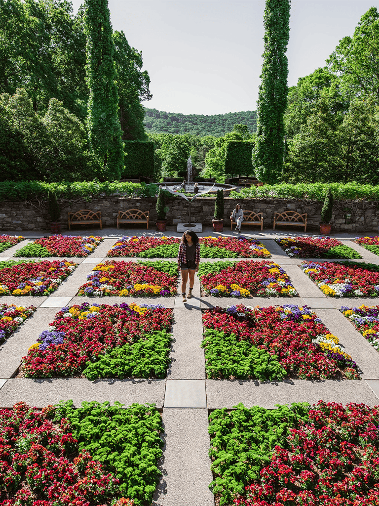 Colorful flower garden with walking paths and lush greenery on a sunny day.