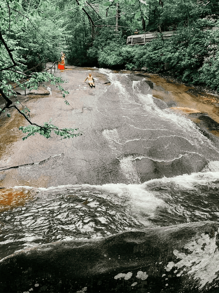 Lower creek with rocks and rippling water, surrounded by dense green forest. Two people are wading through the shallow stream.