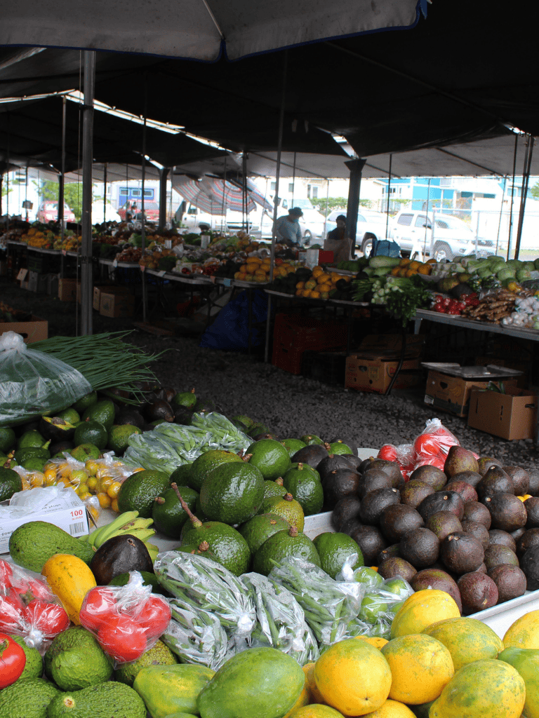 Fresh tropical fruits at an outdoor farmers market under a canopy, vibrant produce display.