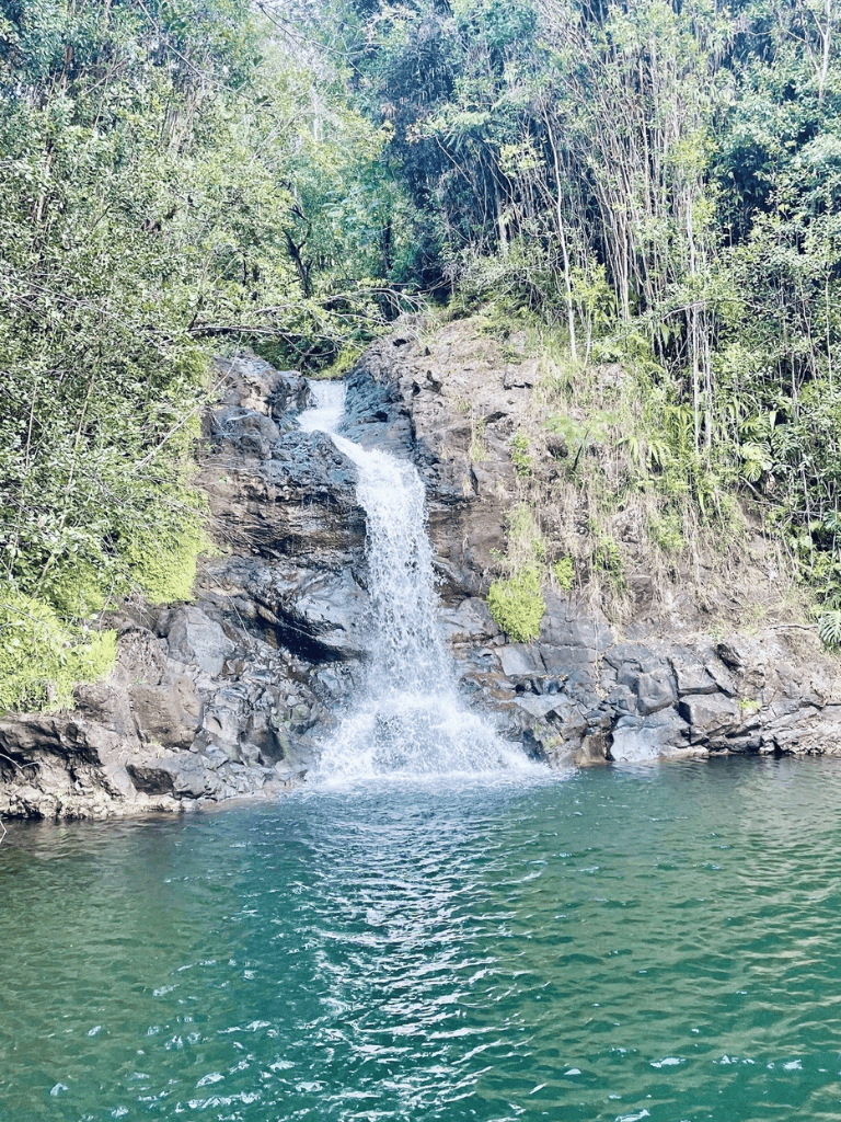 Tranquil waterfall cascading into a clear green pool amidst lush forest scenery.