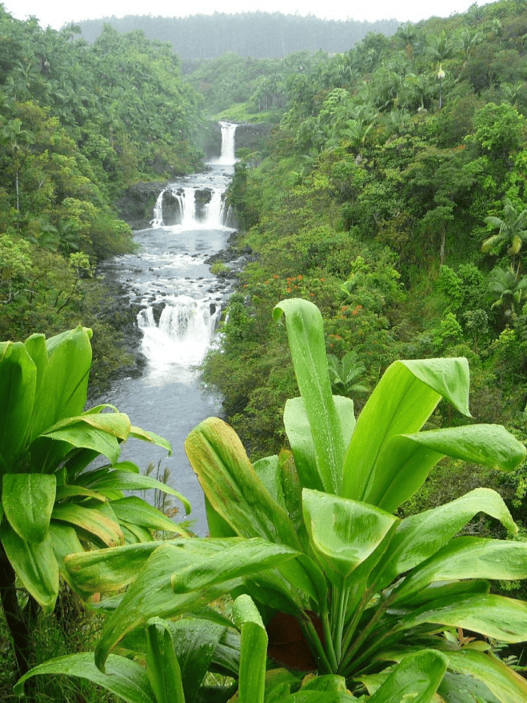 Lush tropical rainforest with cascading waterfalls in a vibrant green landscape.