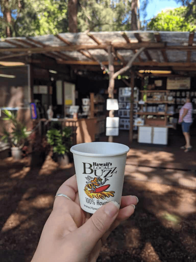 Hand holding Hawaii's Local Buzz coffee cup in front of a rustic outdoor shop in a forest setting.