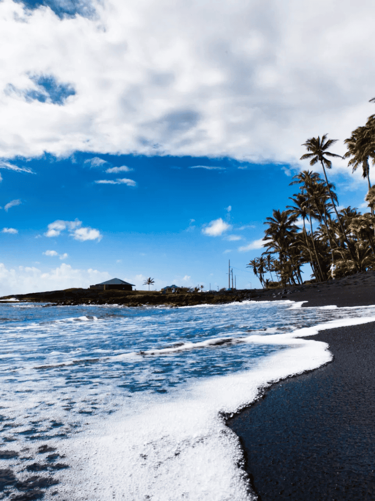 Stunning black sand beach with palm trees, blue sky, and ocean waves, ideal for tropical vacation and nature exploration.