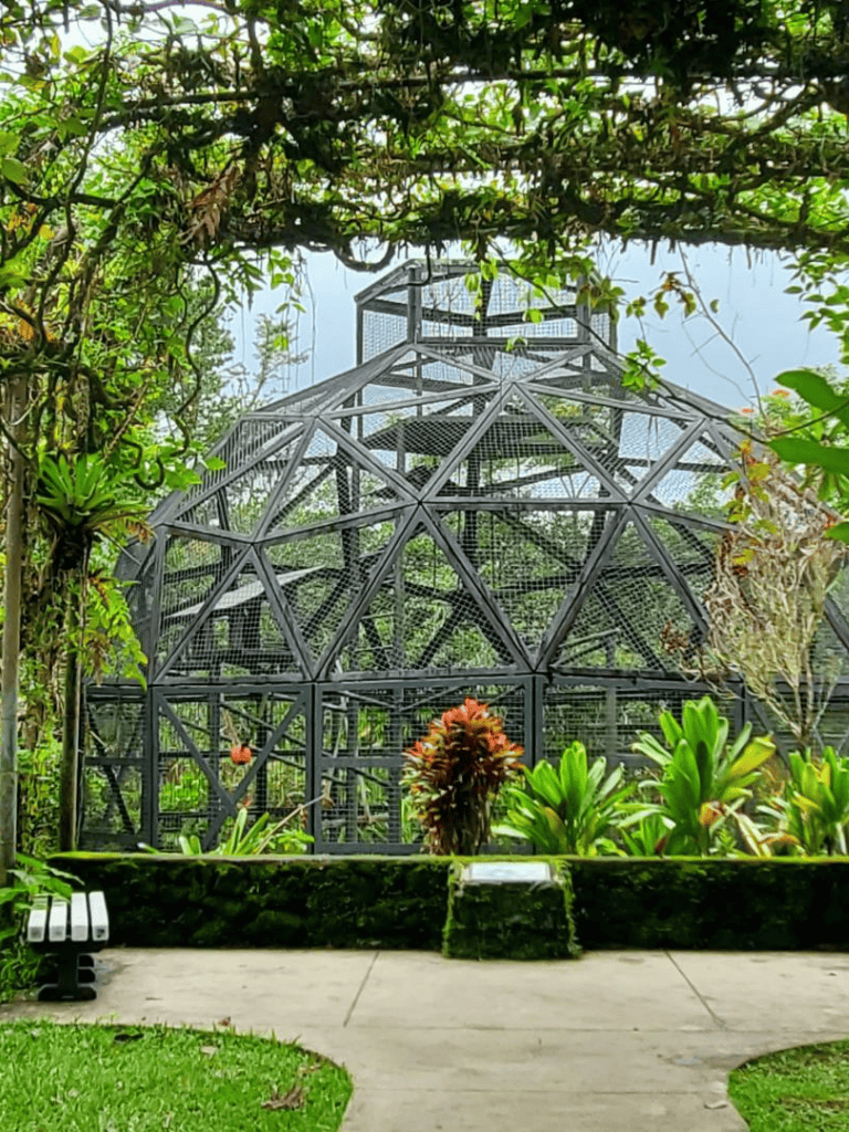 Intricate geodesic dome structure surrounded by lush tropical greenery in a botanical garden setting.