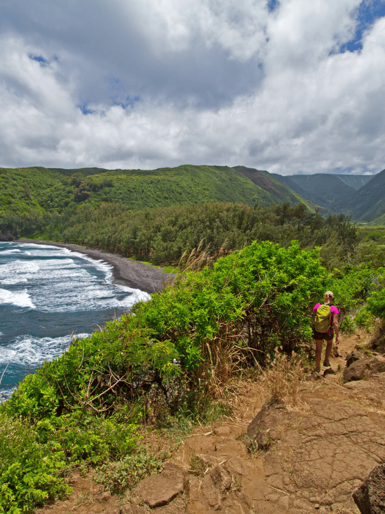 Vast coastal landscape with hiking trail, lush greenery, and ocean waves under cloudy sky.
