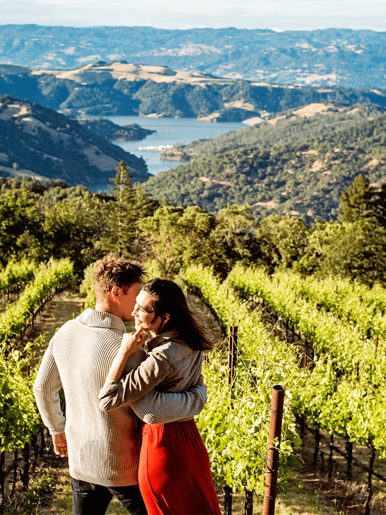Lush vineyard overlooking scenic hills and lake in the background.