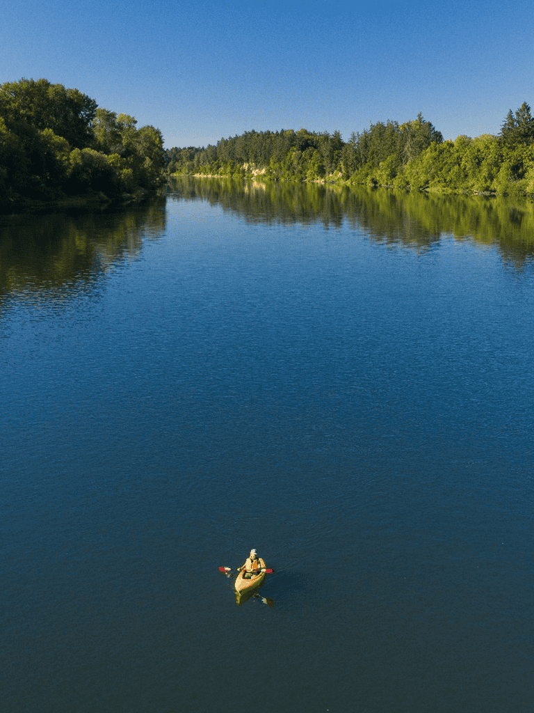 Serene kayaking on a tranquil river surrounded by lush green trees and clear blue sky.