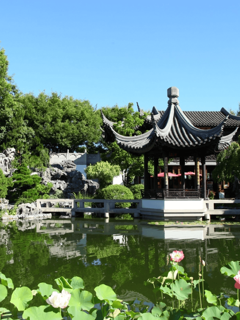 Traditional Chinese pavilion with pond and lotus flowers in a lush garden setting.