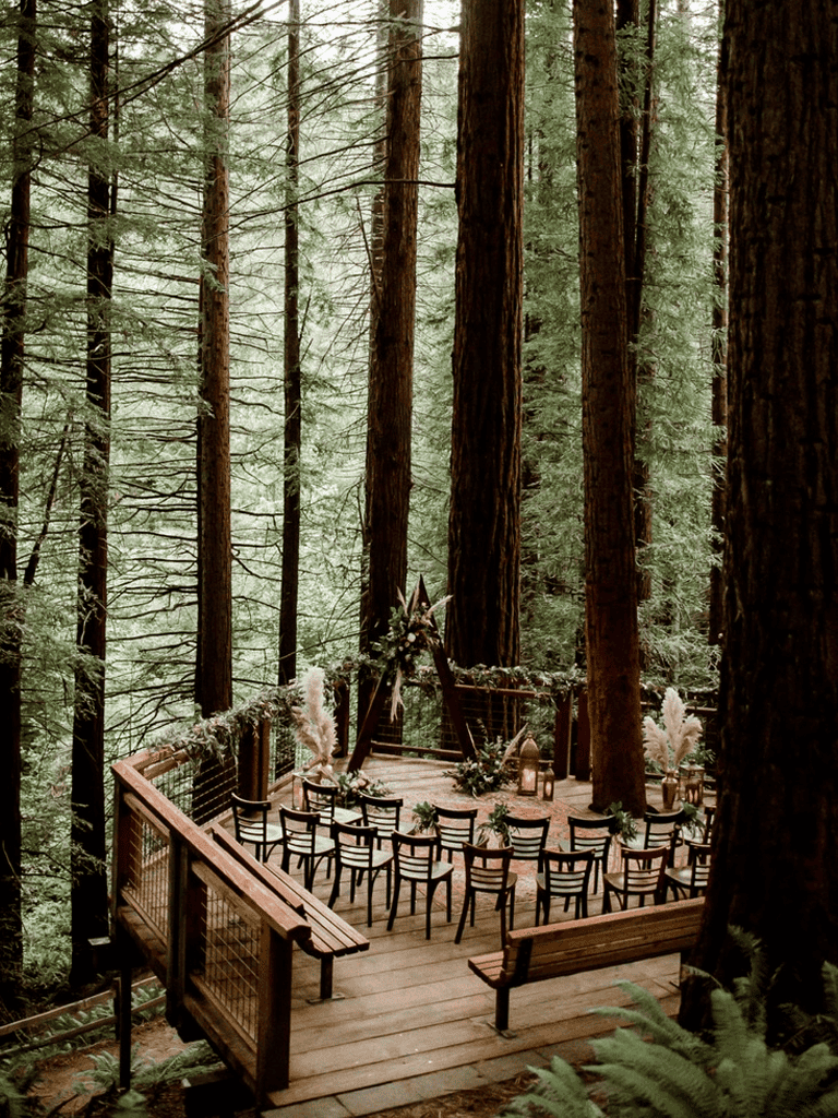 Serene outdoor forest wedding ceremony setup in towering redwood trees, nature, and rustic decor.