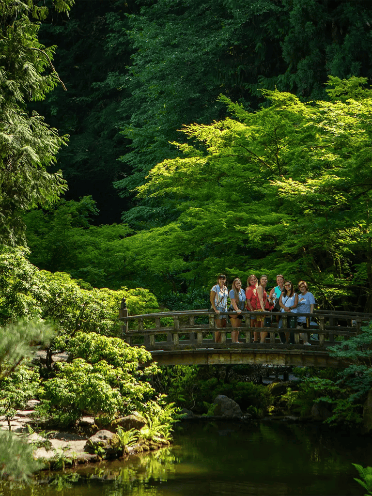 Vibrant forest scene with group of friends on wooden bridge overlooking serene creek, surrounded by lush green trees.