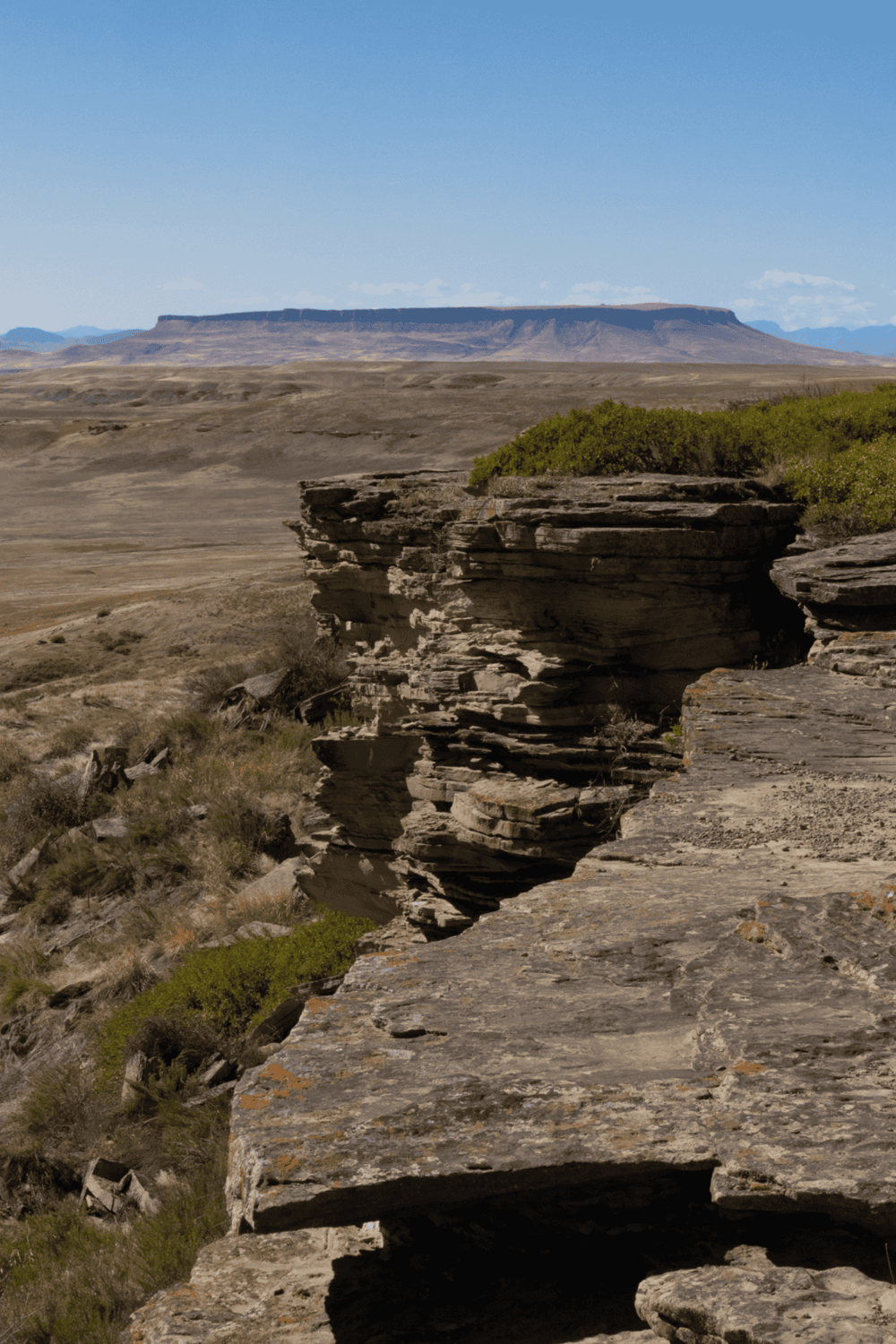Vast desert landscape with layered rock formations and distant mesa in clear blue sky.
