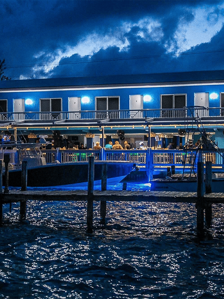 Brightly lit dockside restaurant and boats at night, perfect for waterfront dining and marine adventures.