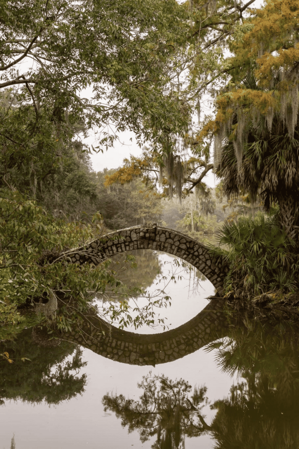 A peaceful stone bridge over a calm river surrounded by lush greenery and hanging moss trees.