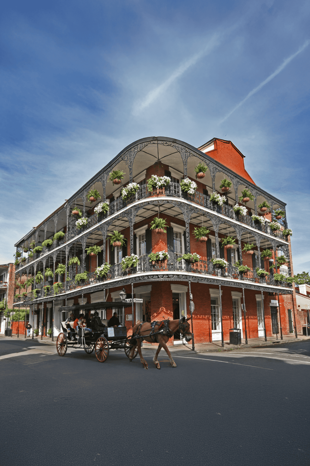 Charming historic building with iron balconies and hanging plants in New Orleans.