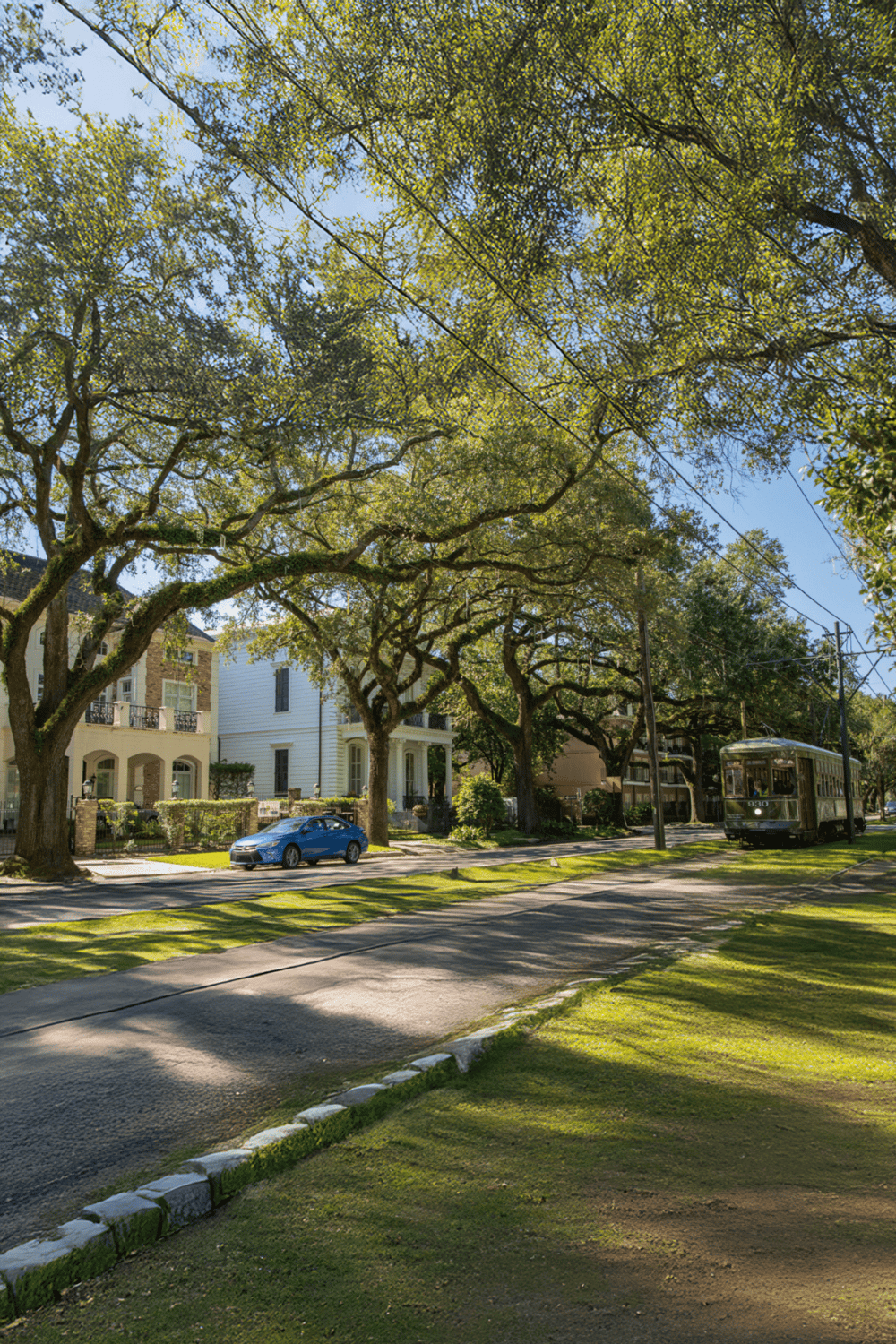 Lush tree-lined street with vintage trolley and historic houses, ideal for urban exploration and neighborhood tours.