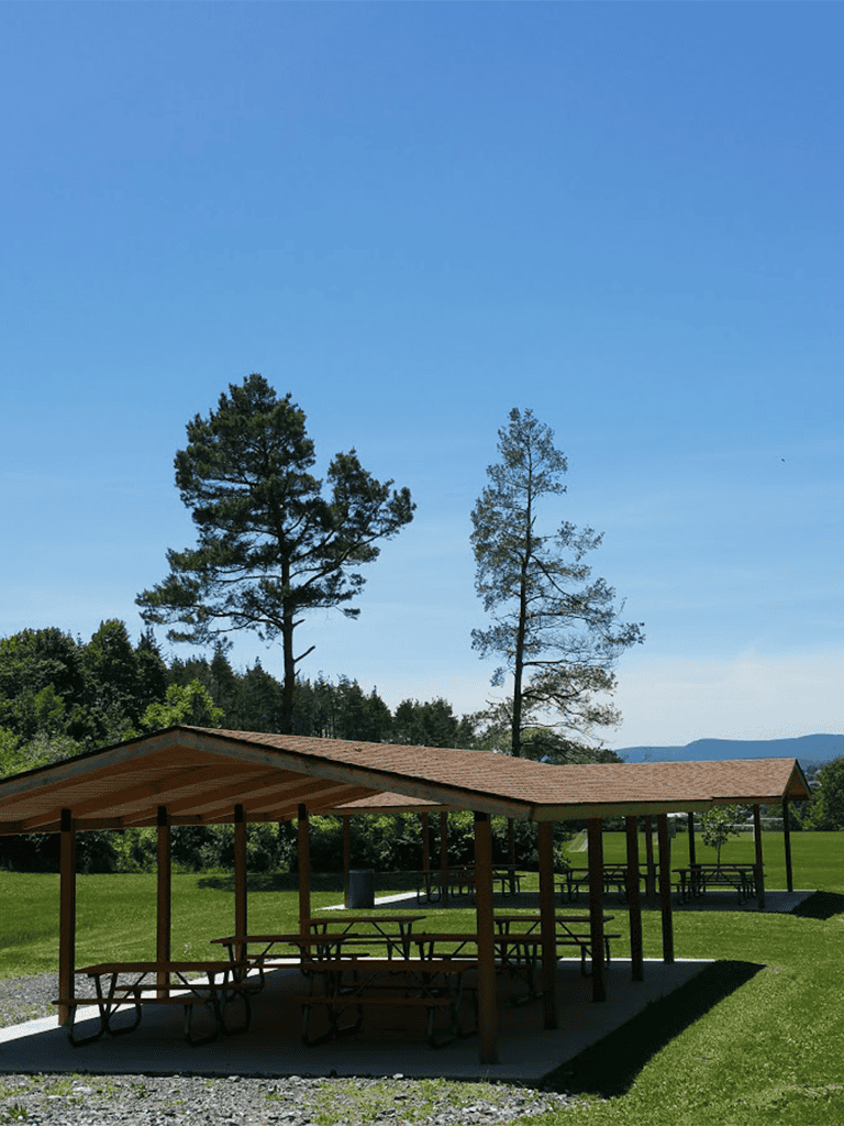 Picnic shelter with scenic mountain view and lush green park.