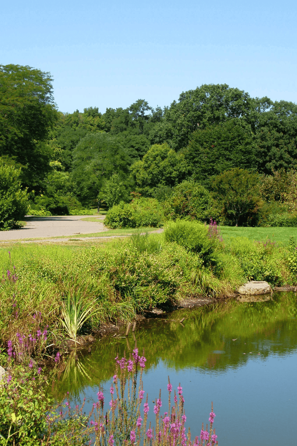 Lush green park with pond, trees, and vibrant flowers, ideal for outdoor activities and nature walks.