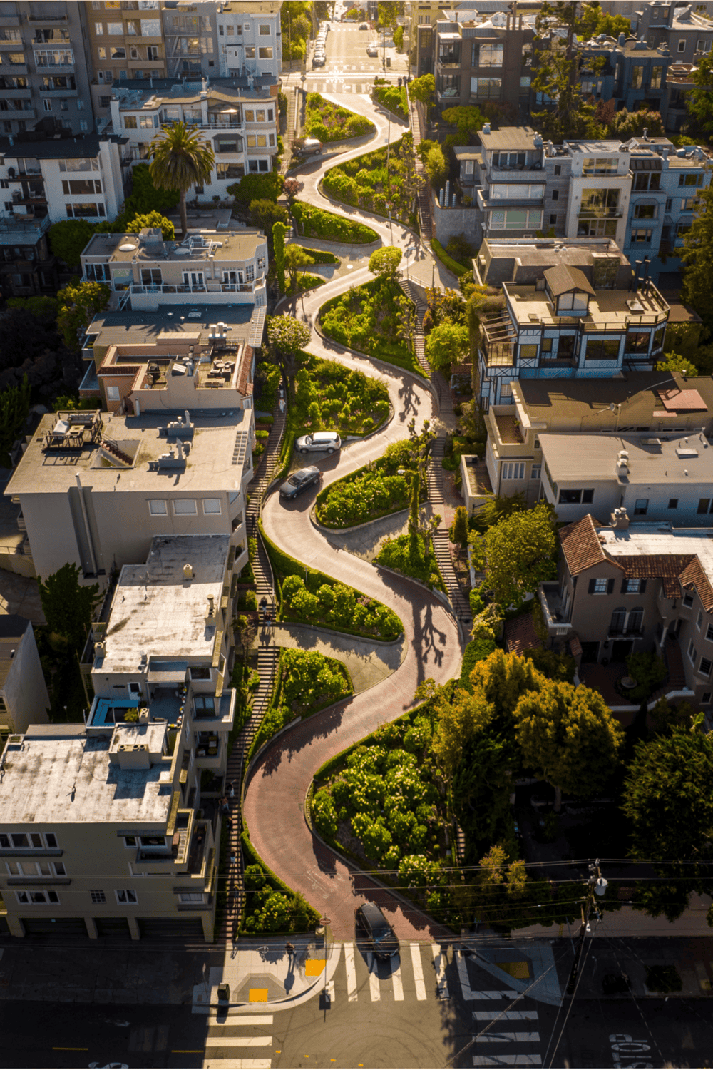 - Scenic urban hillside with winding driveway, modern homes, lush greenery, and city streets.