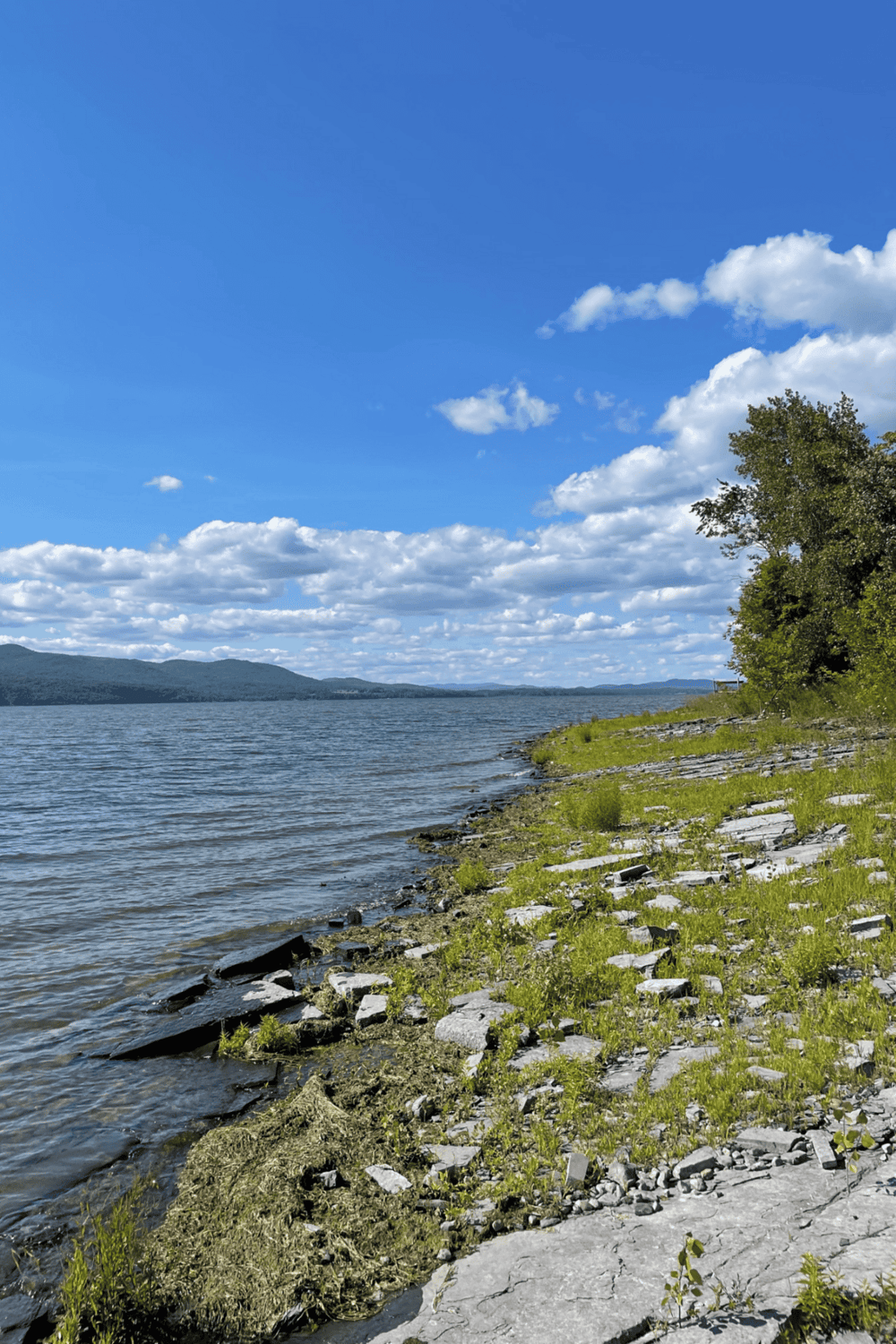 Tranquil lakeside scenery with rocky shoreline, lush greenery, and bright blue sky with clouds.