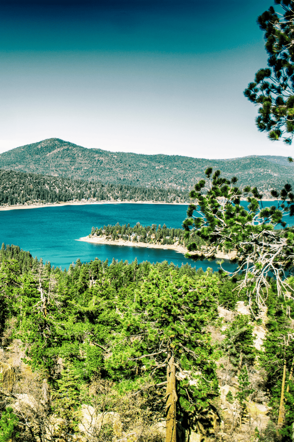 Serene mountain lake surrounded by lush pine forest, ideal for outdoor adventures and nature exploration.