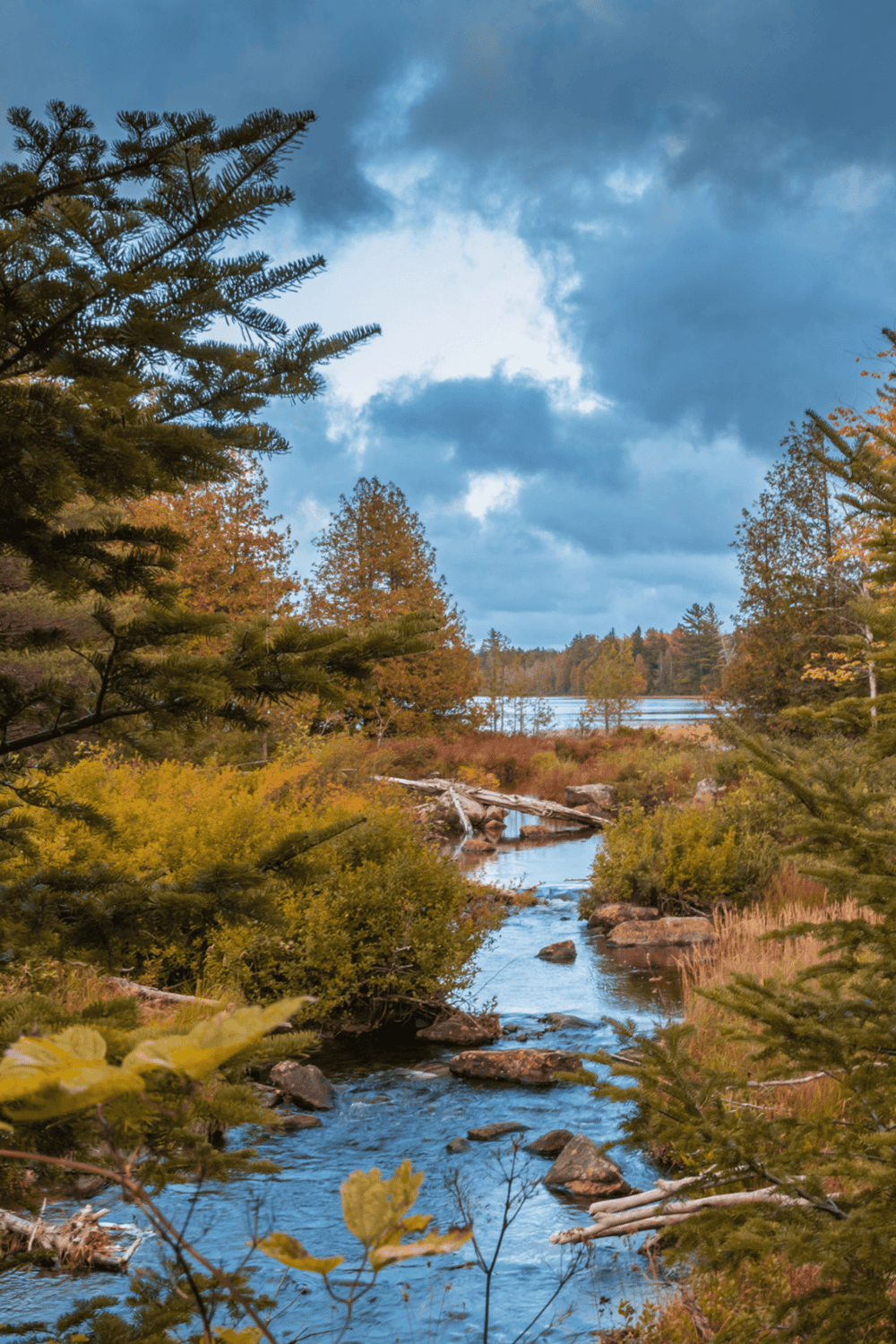 Serene autumn landscape with river, pine trees, and cloudy sky, perfect for outdoor adventures and nature exploration.
