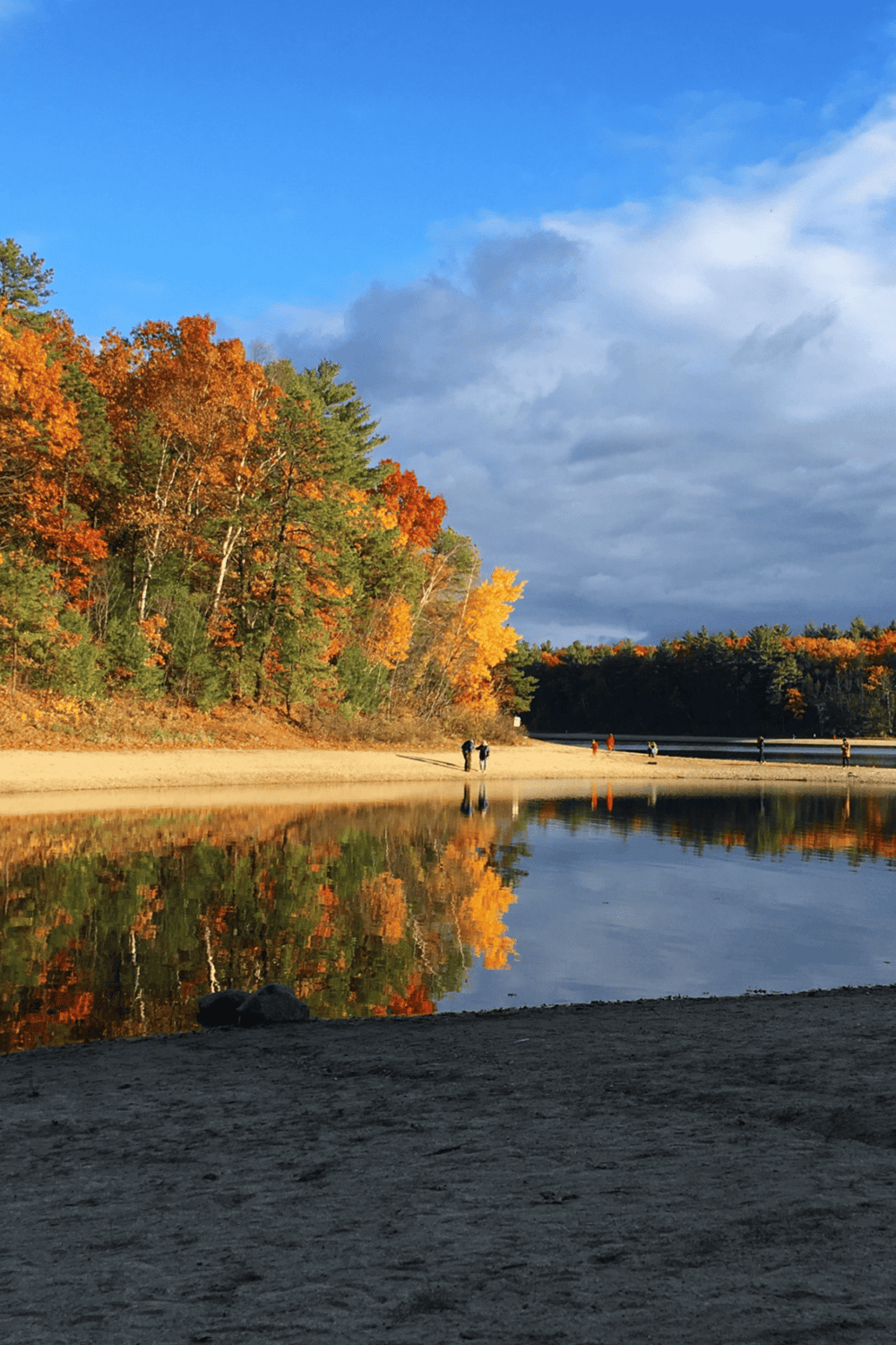 Colorful fall foliage along the riverbank during daytime with a clear blue sky.