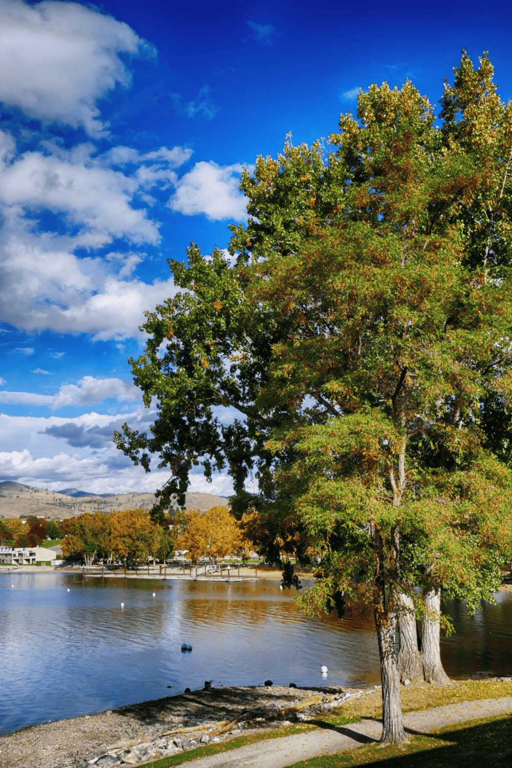 Vibrant autumn trees by a serene lake with blue sky and white clouds, promoting outdoor exploration and nature adventures.