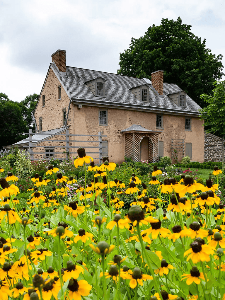 Charming historic stone house surrounded by vibrant yellow flowers in a lush garden.