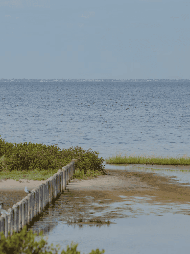 Serene waterfront view with wooden fence, green bushes, and calm ocean scenery, ideal for travel or nature exploration.