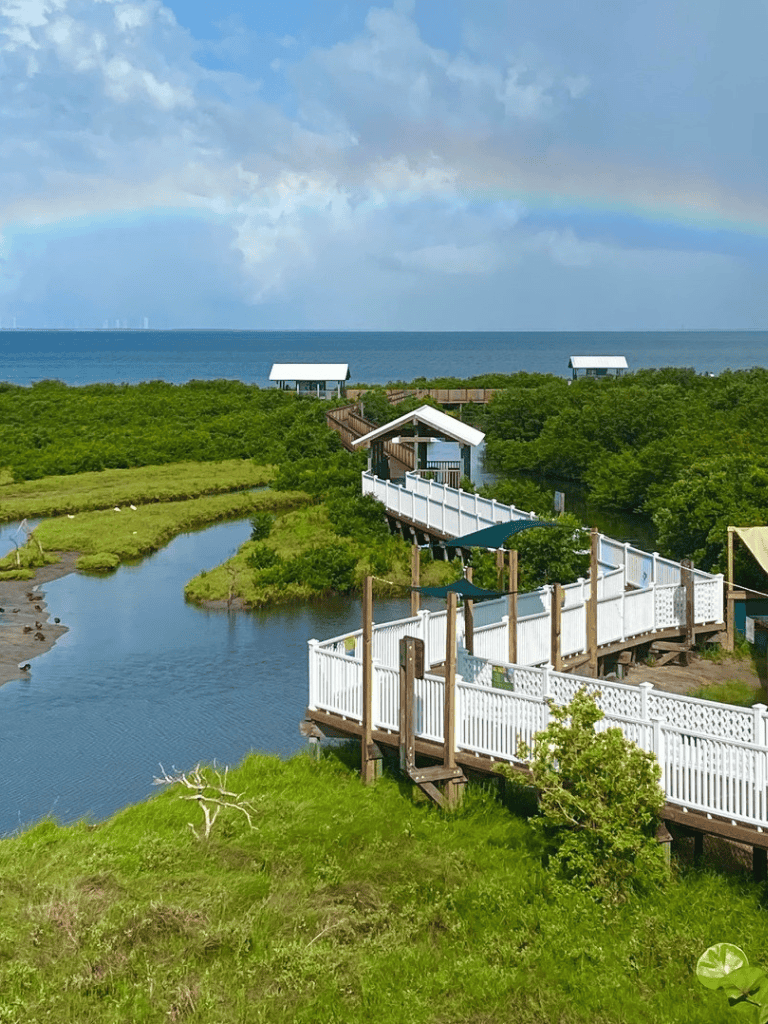 Scenic coastal nature trail with wooden walkways overlooking the ocean and lush greenery.
