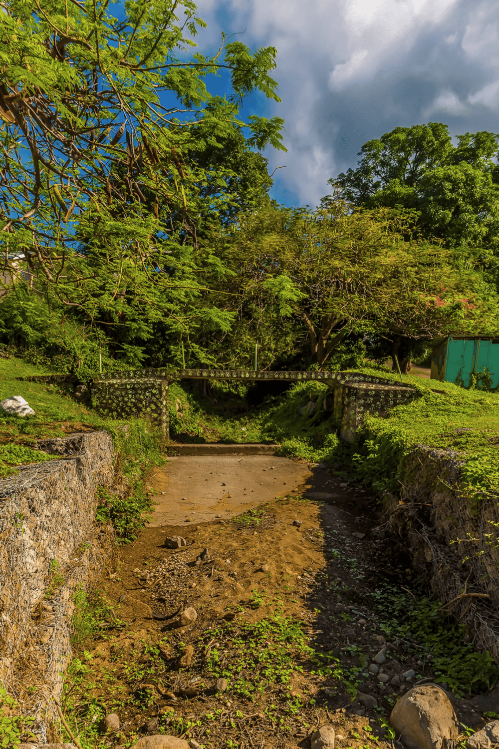 Overgrown pathway with stone bridge surrounded by lush green trees, perfect for nature walks Outdoor adventure.