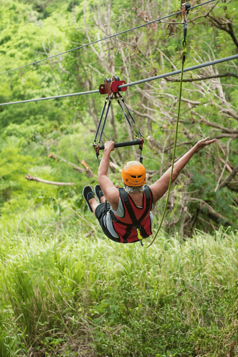 Adventure ziplining through lush green forest canopy.