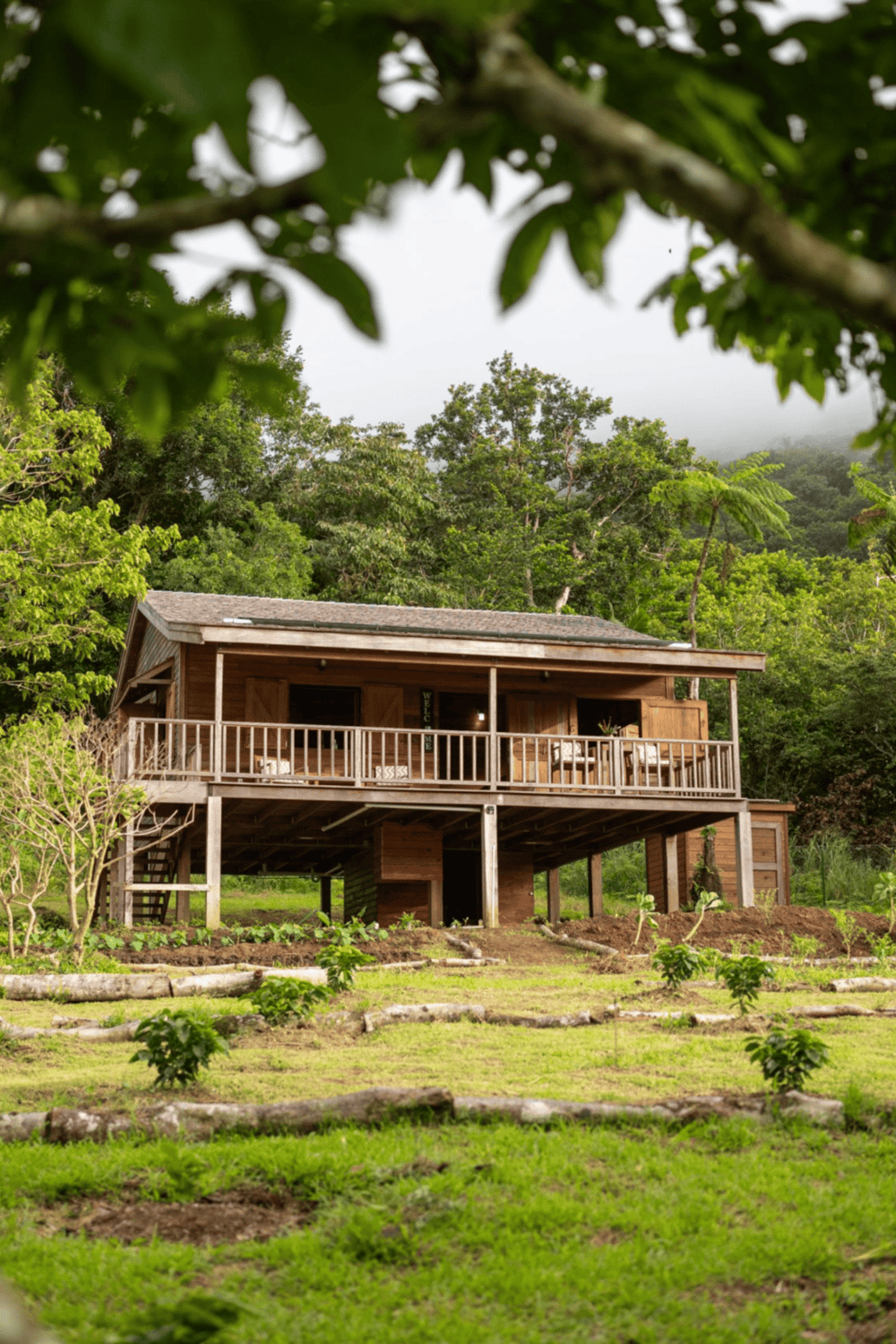 Secluded wooden cabin in lush green tropical forest with a large porch, elevated on stilts, surrounded by plantings and nature.