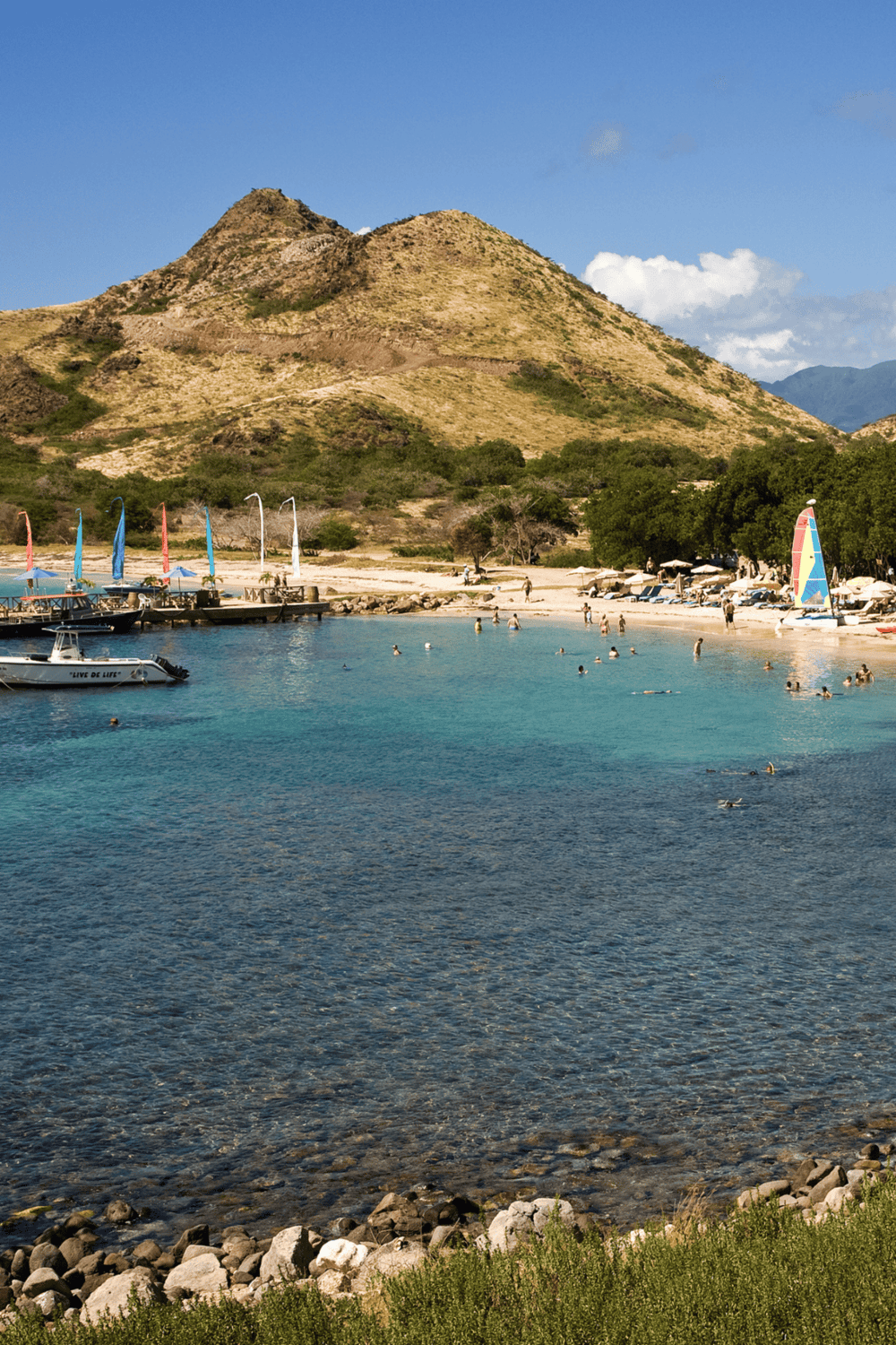 Vibrant beach scene with sailboats, swimmers, and scenic mountains in the background.
