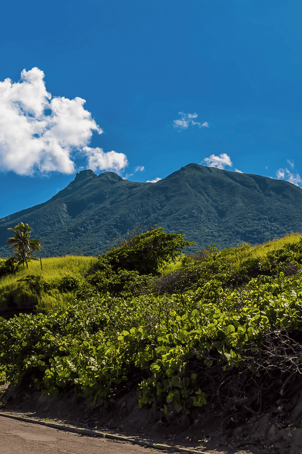 Lush green mountain landscape with tropical vegetation under bright blue sky.