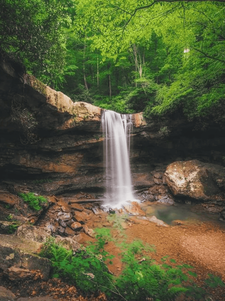 Serene waterfall in lush green forest landscape for outdoor adventure and nature photography SEO.