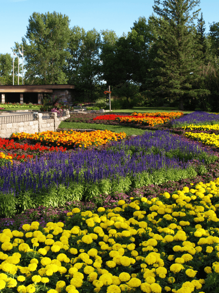 Bright colorful flower garden with lush green trees on sunny day at QuestForDirections.