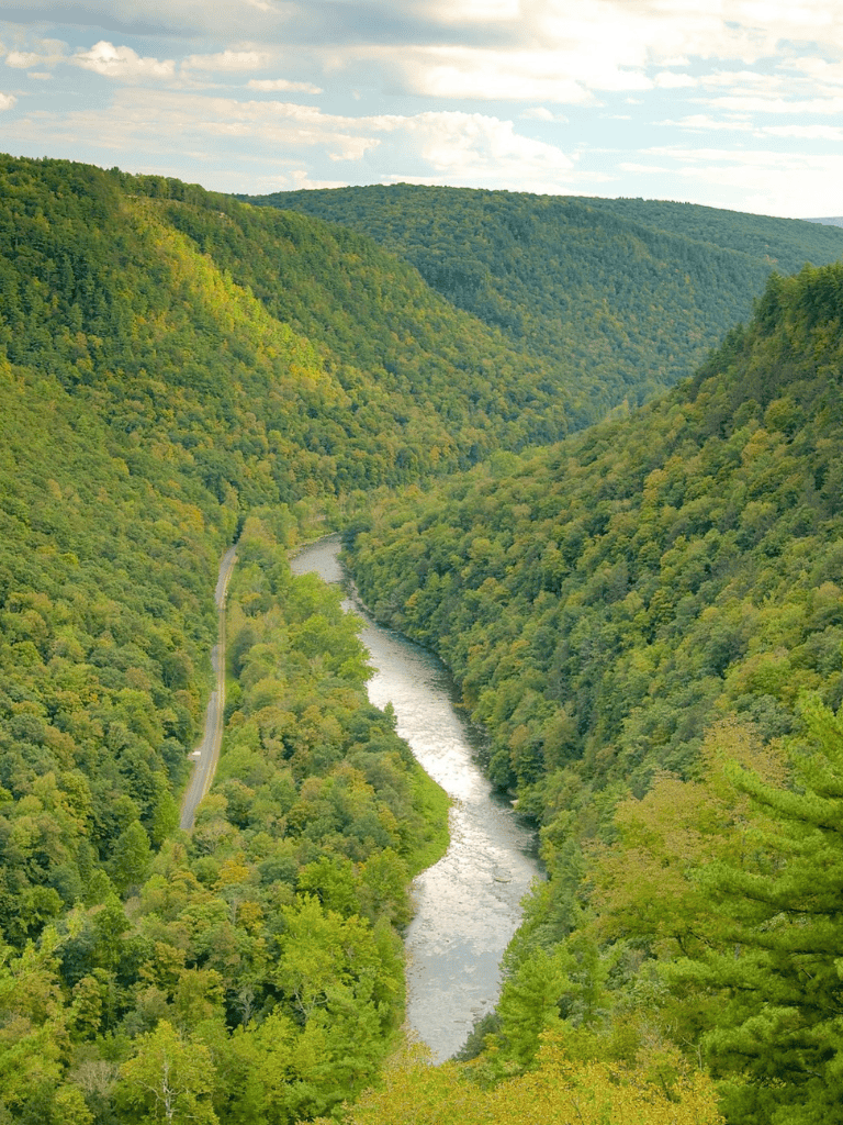 Vast green forested valley with winding river and scenic mountain landscape.