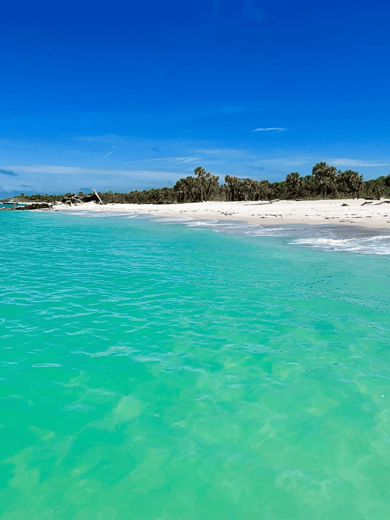 Turquoise ocean beach with palm trees under blue sky, tropical paradise scenery.