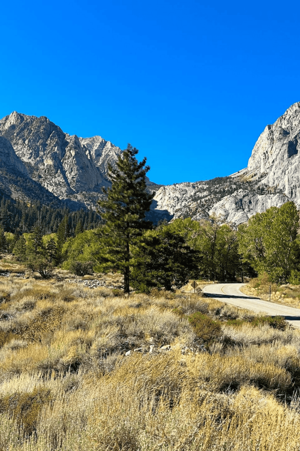 Serene mountain landscape with winding road, lush trees, and rugged peaks under clear blue sky.