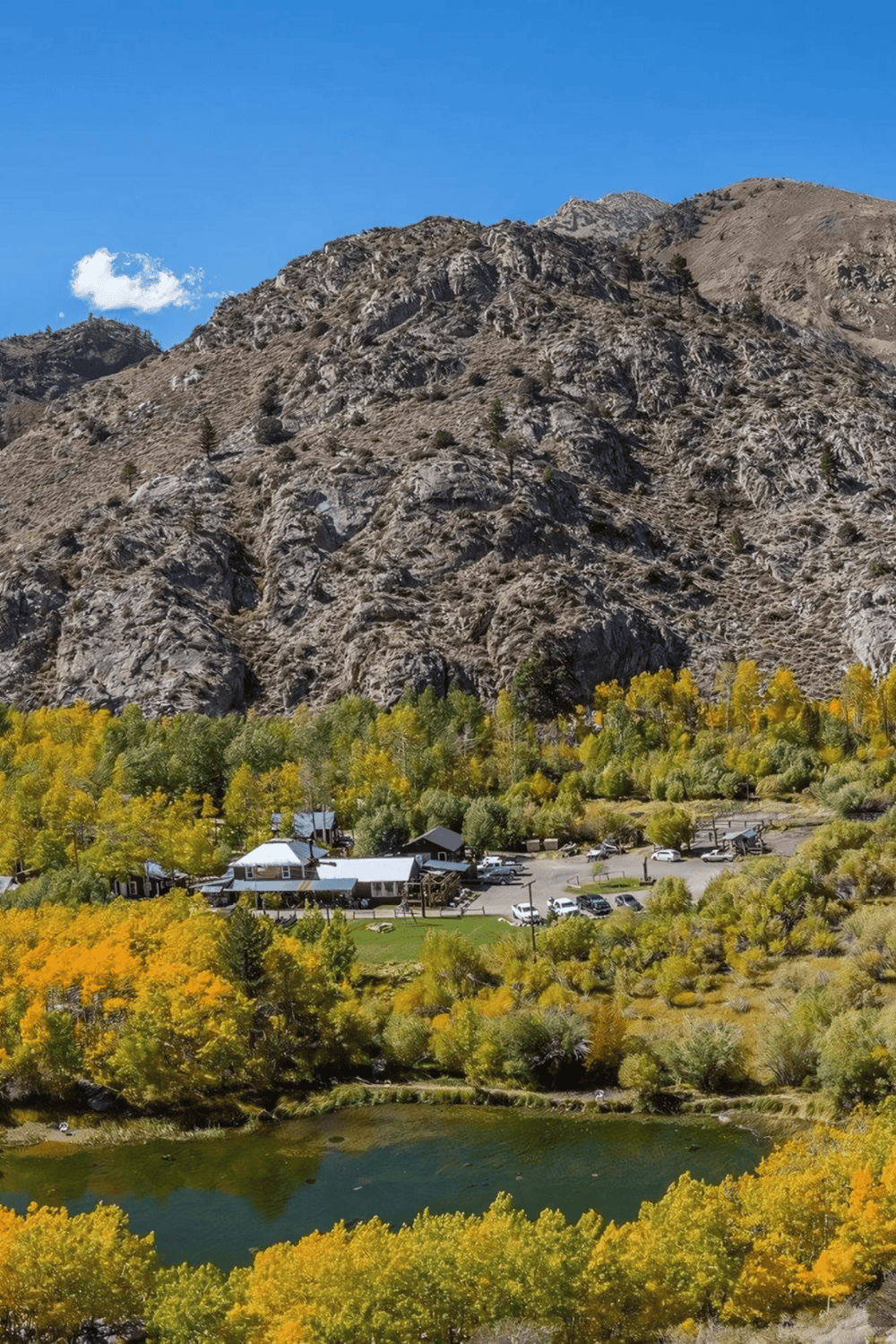 Vibrant autumn landscape with mountainous backdrop and cozy cabin in a forested area.