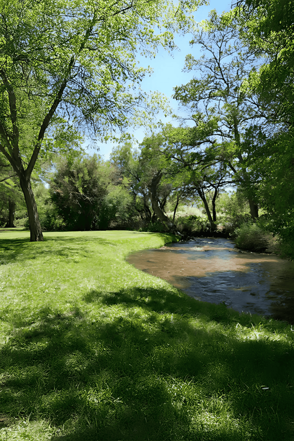 Lush green park with a flowing river, tall trees, and bright blue sky in the background.