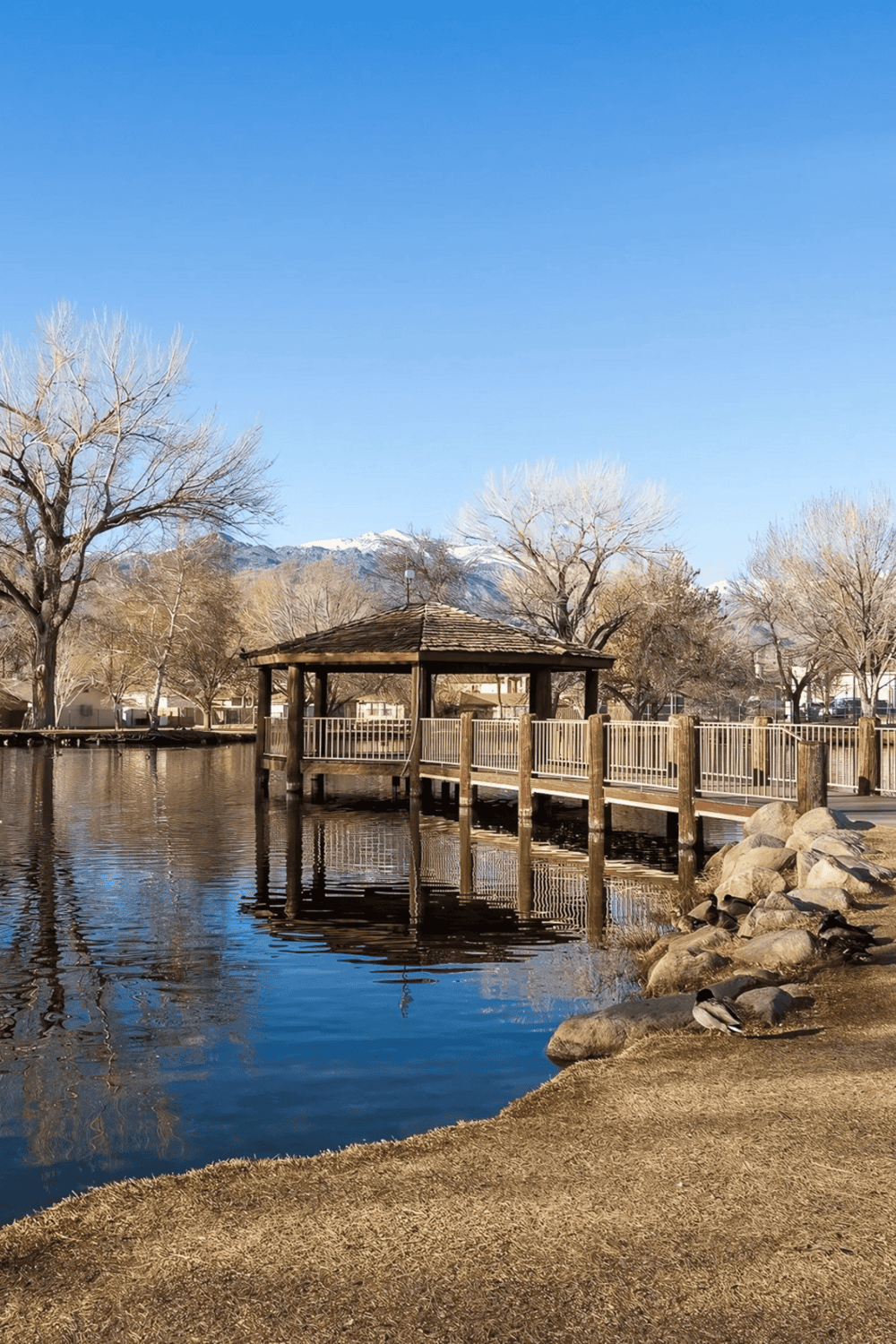 Tranquil park with a wooden gazebo, trees, and mountain views, perfect for outdoor relaxation and scenic walks.