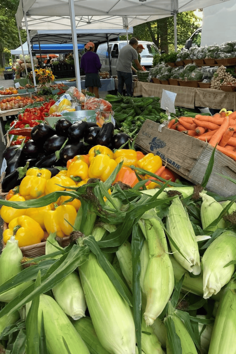 Fresh farm vegetables at a local farmer's market for healthy, organic shopping.