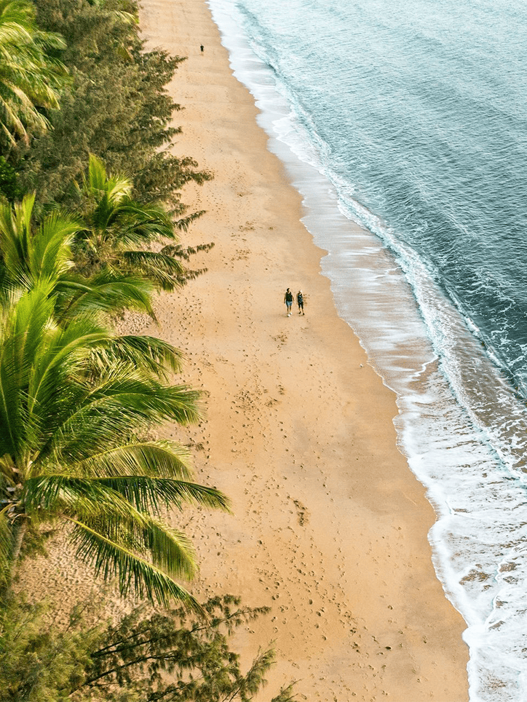 Vibrant tropical beach scene with palm trees and two people walking along sandy shoreline.
