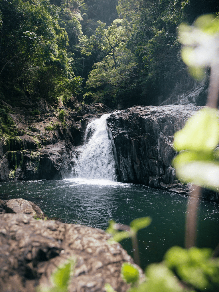 Serene waterfall cascading over rocks surrounded by lush green forest in a scenic nature setting.