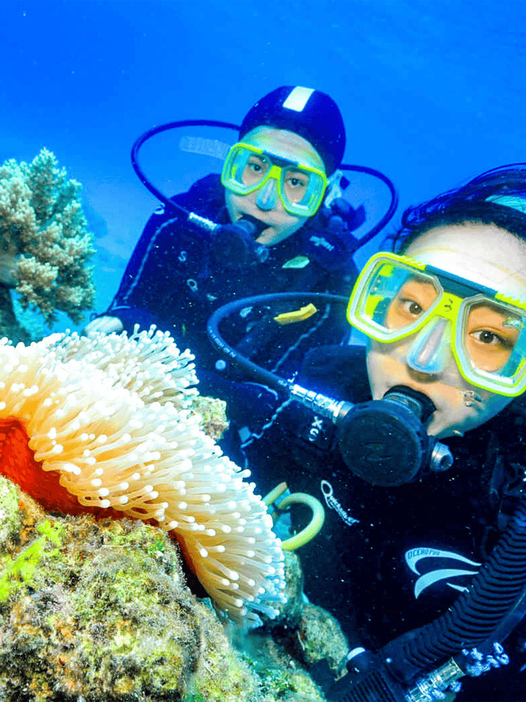 Colorful scuba divers exploring coral reef underwater, vibrant marine life, adventure, ocean exploration, snorkeling.