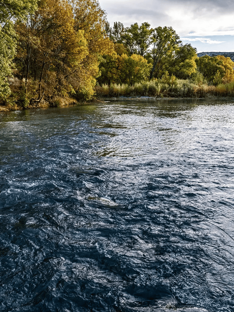 Serene river with autumn foliage along the banks and a slightly cloudy sky in the background.
