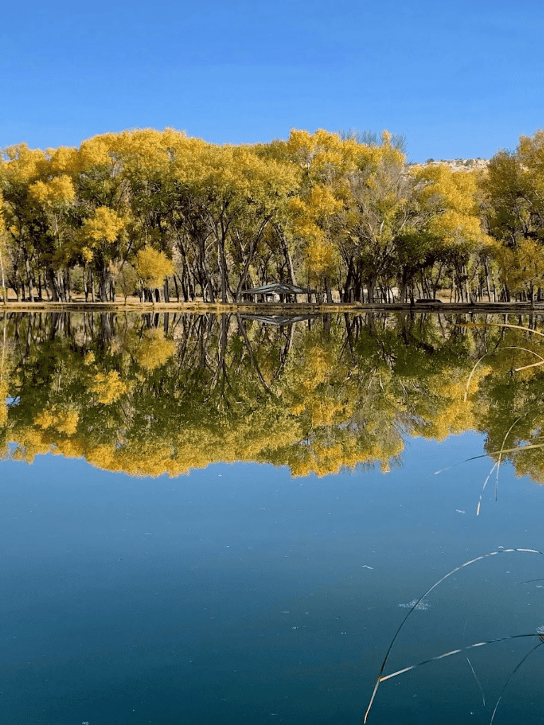 Tranquil lake with vibrant autumn foliage and reflected trees, perfect for nature and travel exploration.