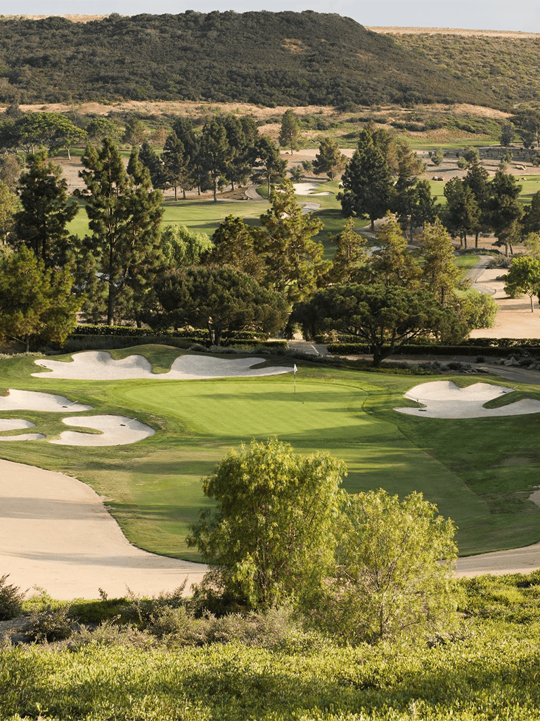 Lush golf course with sand traps, surrounded by trees and rolling hills, perfect for golf enthusiasts.